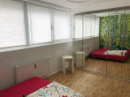 wunderschöne 4-Zi.-Loftwohnung in Augsburg-Pfersee, modern saniert, für Paare oder kleine Familien - Schlafzimmer