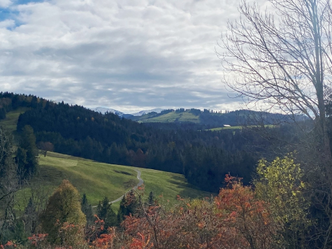 saniertes 3-FH bei Grünenbach – Vermietungsobjekt (Ferienwohnungen) od. als Generationenhaus nutzbar, 88167 Grünenbach, Mehrfamilienhaus