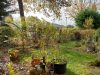 "Ruhige 4,5-Zi-Erdgeschoss-Wohnung in Erbach, mit schönem grünen Garten in ruhiger Umgebung" - Garten