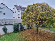 „Erstbezug nach Renovierung: Helle 2-Zi.-OG-ETW mit Südwest-Balkon in Ludwigsburg-Oßweil“, 71640 Ludwigsburg / Oßweil, Wohnung