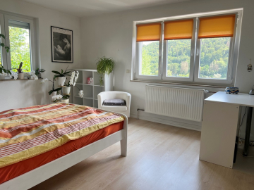 „Helles Zweifamilienhaus in Horb a. N. – Viel Platz und Panorama-Aussicht in bester Lage!“, 72160 Horb am Neckar, Zweifamilienhaus