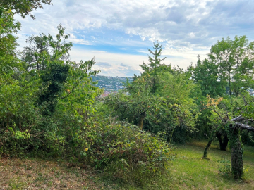 Gartengrundstück in Toplage von Esslingen – Wittumweinberge oberhalb der Burg, 73732 Esslingen am Neckar, Freizeit