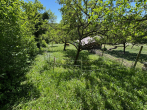 Gartengrundstück mit Gartenhaus zwischen Sonnenberg und Waldfriedhof - image0 (26)