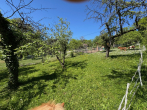 Gartengrundstück mit Gartenhaus zwischen Sonnenberg und Waldfriedhof - image0 (25)