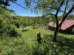 Gartengrundstück mit Gartenhaus zwischen Sonnenberg und Waldfriedhof - image0 (24)