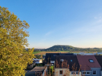"Sonniges Apartment mit Balkon, Aufzug & Stellplatz - 1-Zi.-OG-ETW in Tamm" - Ausblick
