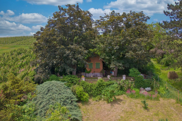„Absolute Rarität – Gartengrundstück mit Weitblick mitten in den Weinbergen von Stuttgart-Bad Cannstatt – mit Gartenhaus und Swimmingpool“, 70376 Stuttgart, Freizeit