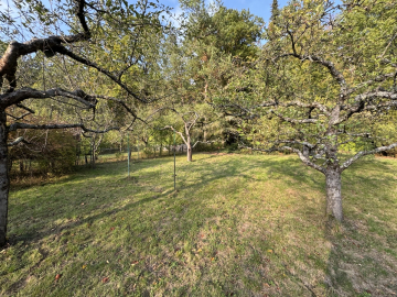 „Idylle pur – Gartengrundstück in Stuttgart-Degerloch am Ramsbachtal“, 70597 Stuttgart / Degerloch, Freizeit